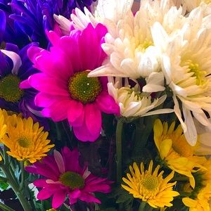 Meet your Posher, Suzette